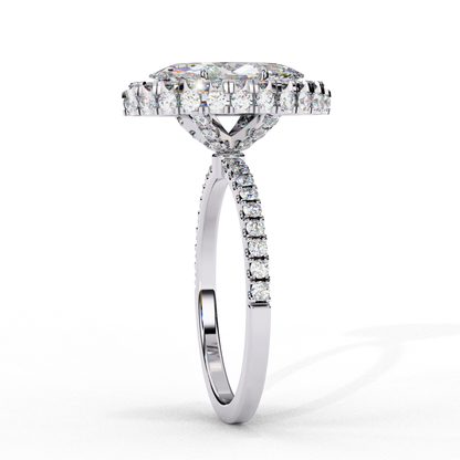White Gold / Moissanite, White Gold / Lab Grown