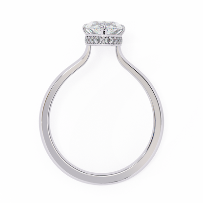 White Gold / Moissanite, White Gold / Lab Grown