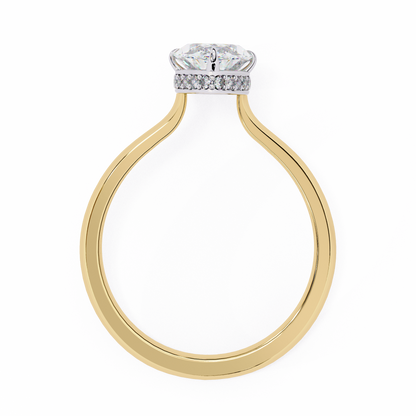 Yellow Gold / Moissanite, Yellow Gold / Lab Grown