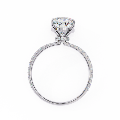 White Gold / Moissanite, White Gold / Lab Grown