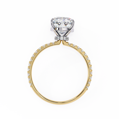 Yellow Gold / Moissanite, Yellow Gold / Lab Grown