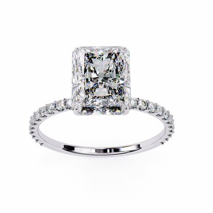 White Gold / Moissanite, White Gold / Lab Grown