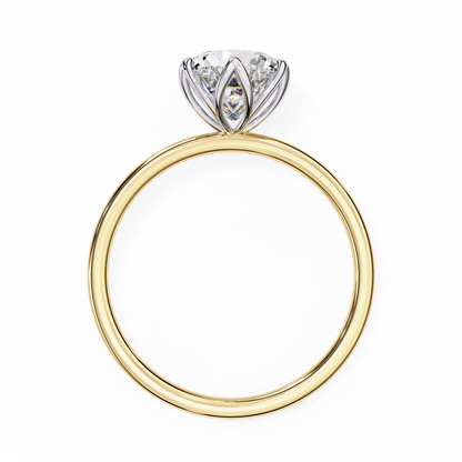 Yellow Gold / Moissanite, Yellow Gold / Lab Grown