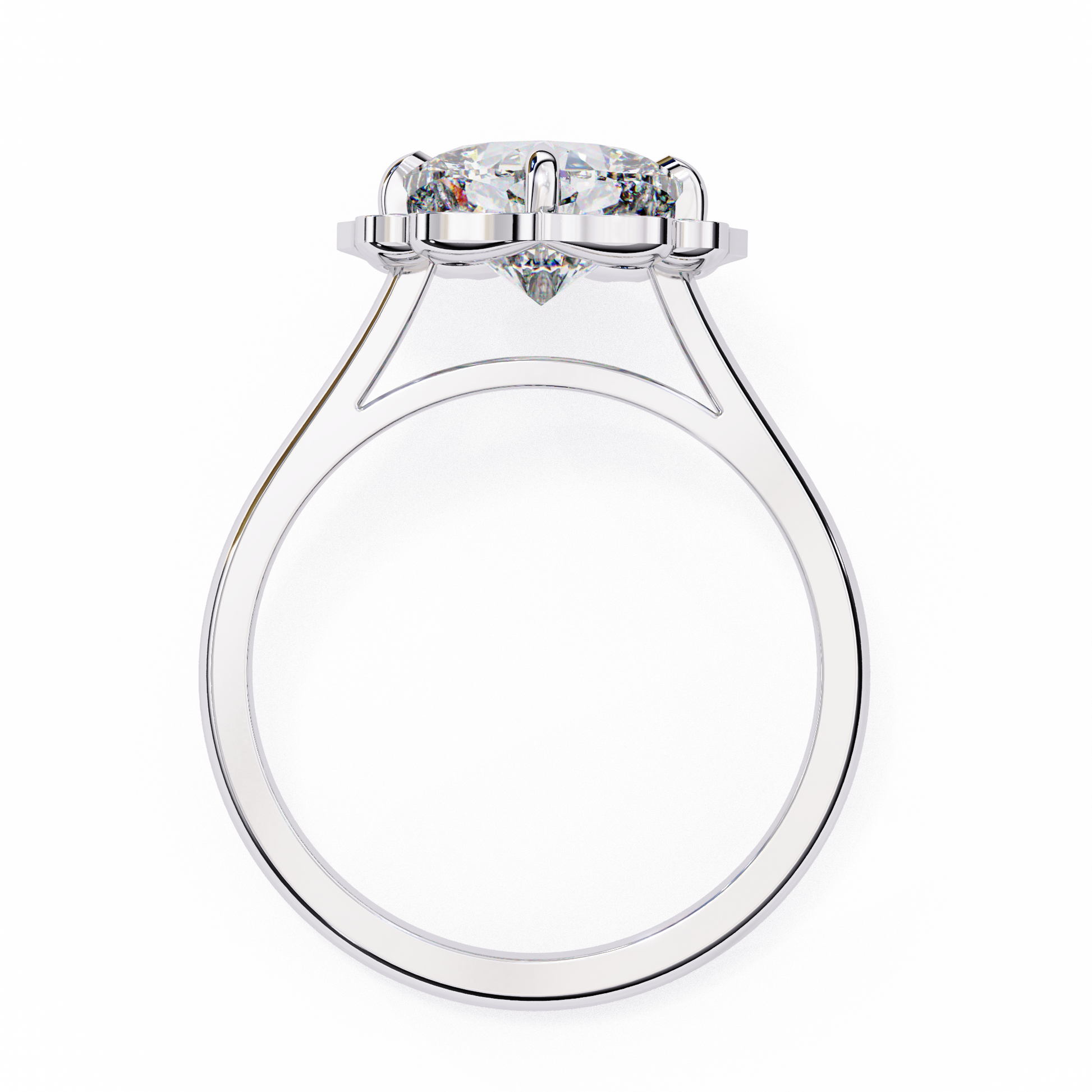 White Gold / Moissanite, White Gold / Lab Grown